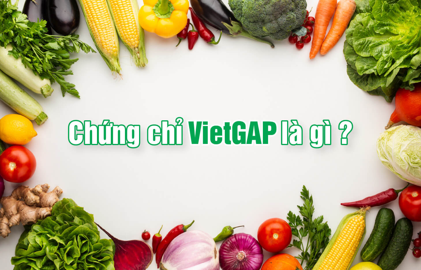 Chứng chỉ VietGAP