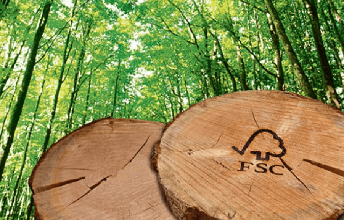 gỗ có chứng nhận FSC