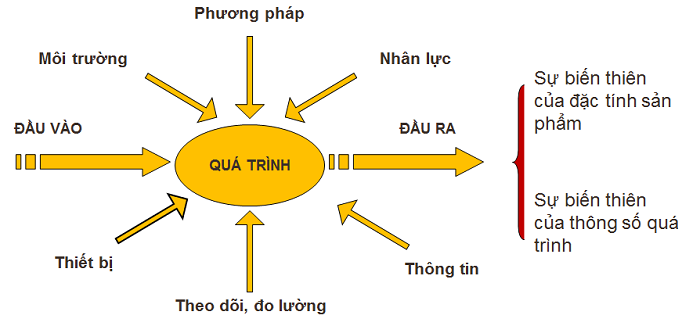 tiếp cận theo quá trình